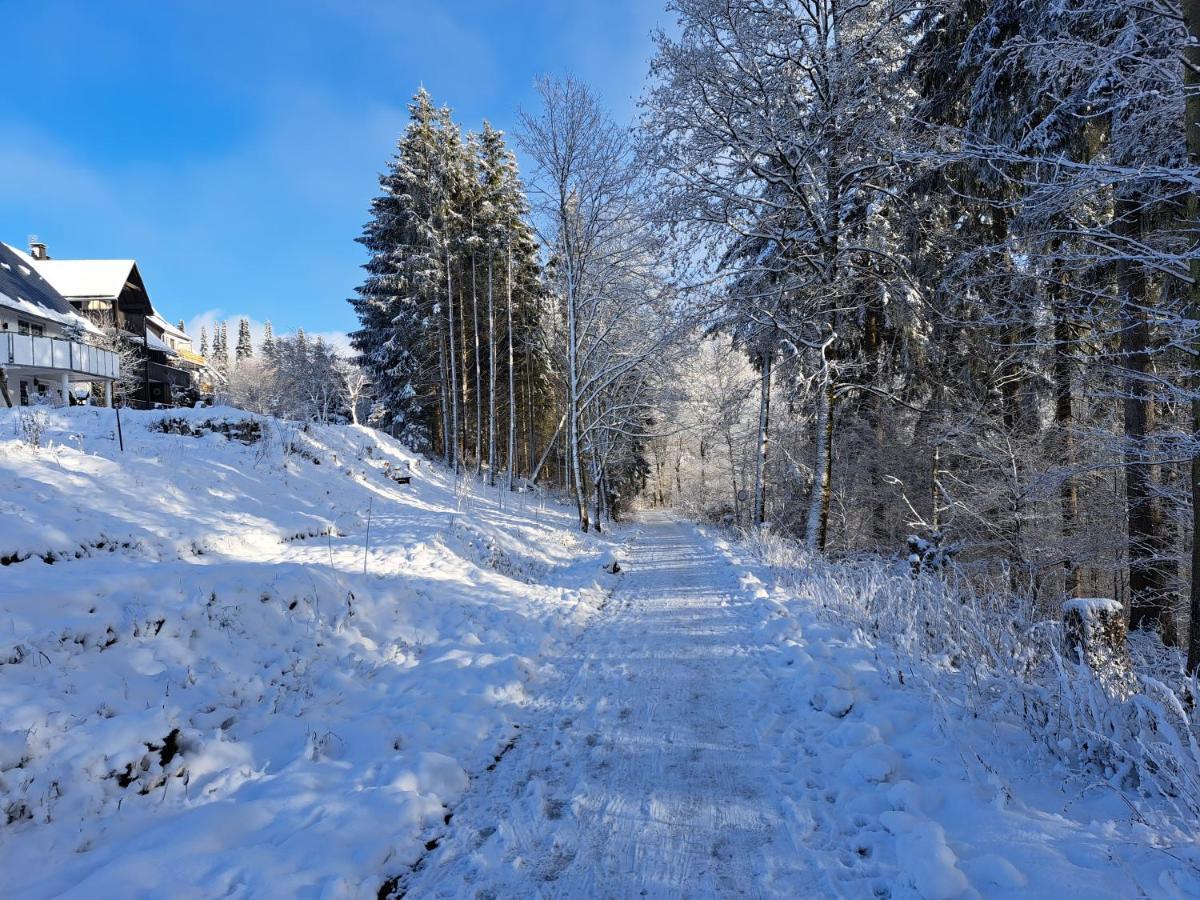 Great Apartment Winterberg Woods メーデバッハ エクステリア 写真
